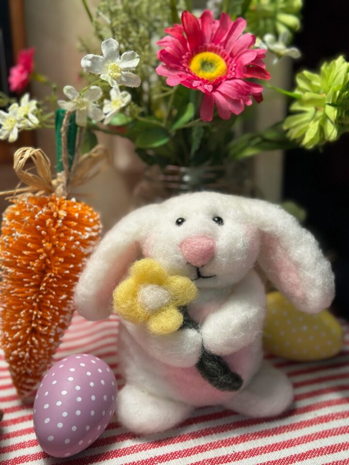 430124796_876048067864943_1221796798559485794_n