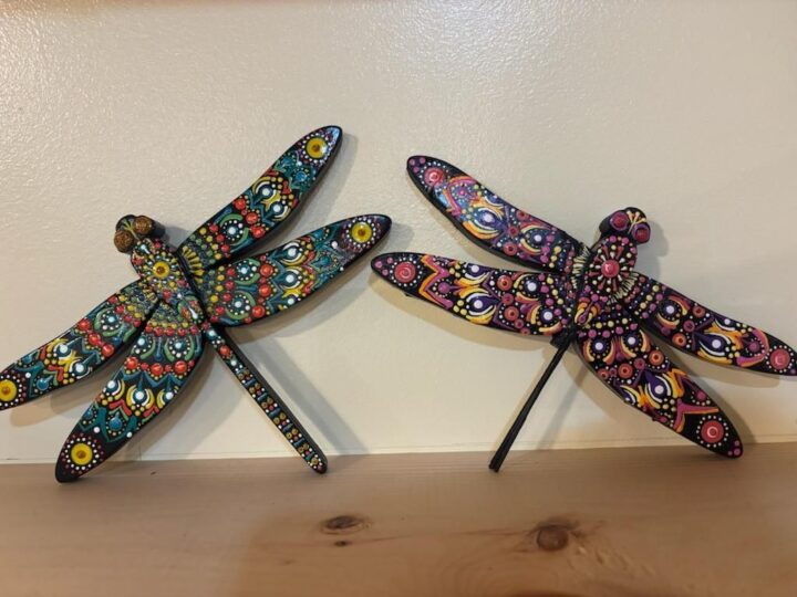 493228156_1193440379459042_1126827814137161465_n