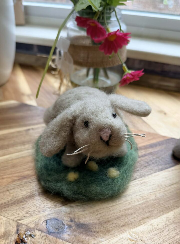 woollythehare